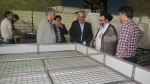 بازدید